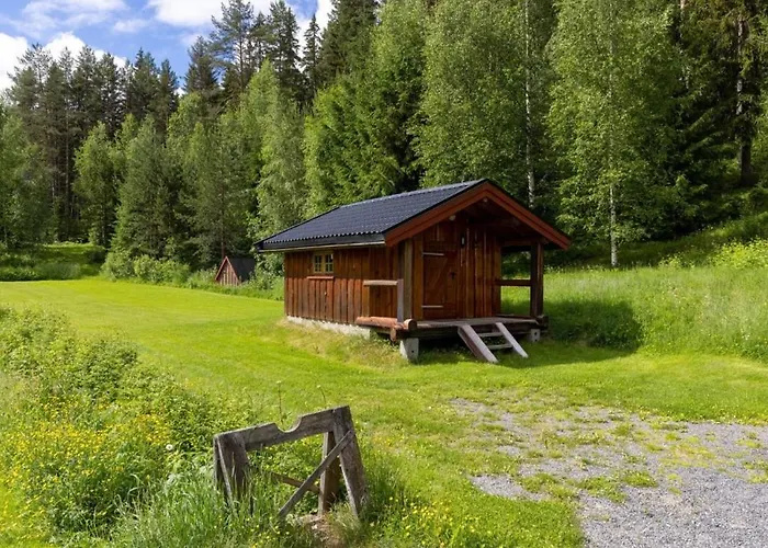 Skogcamping